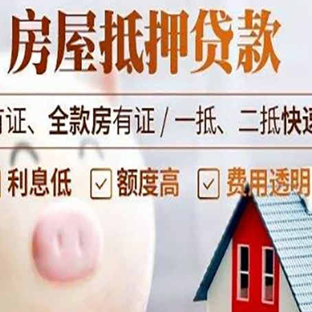 麻山贷款助贷公司新渝启服靠谱公司